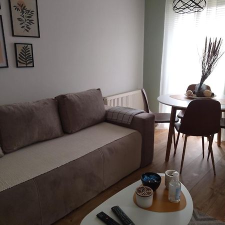 Apartman Element Kruševac Eksteriør bilde