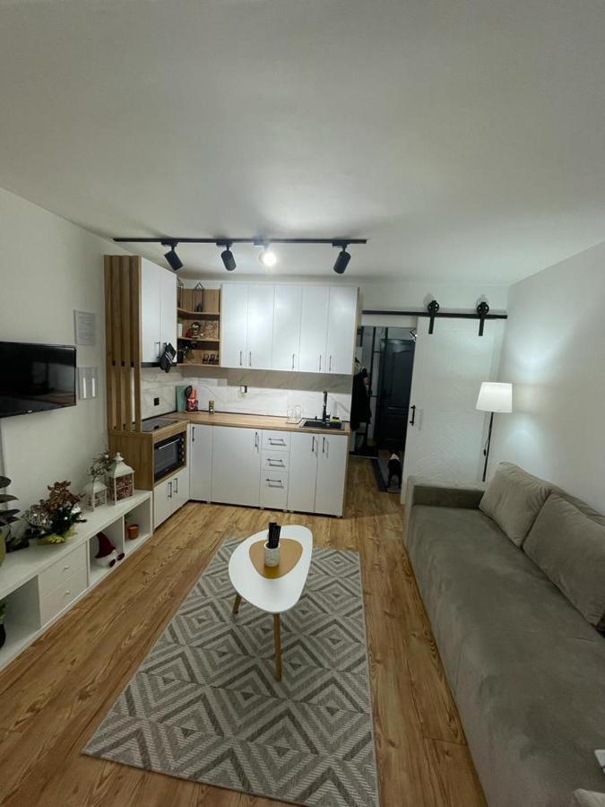 Apartman Element Kruševac Eksteriør bilde