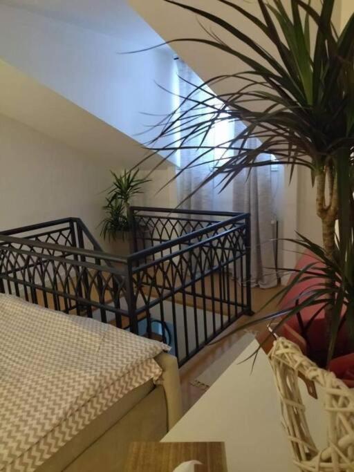 Apartman Element Kruševac Eksteriør bilde